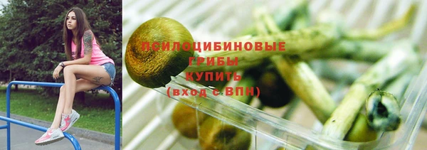 МДПВ Гусь-Хрустальный